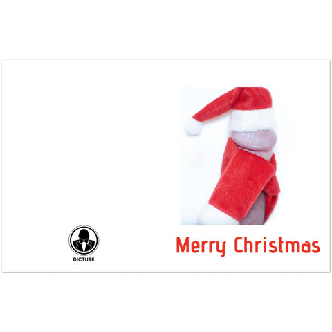 Pack of 10 Christmas Cards (standard envelopes) (US & CA)